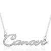 Promo 🎉 Sterling Silver Cancer Necklace by Belk & Co. 🎉