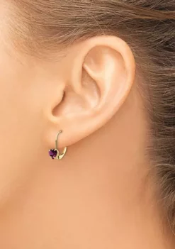 Wholesale ⭐ 1.2 ct. t.w. Rhodolite Garnet 5mm Heart Leverback Earrings in 14K Yellow Gold by Belk & Co. 💯 -DealsBelk & Co. Store Belk 19974