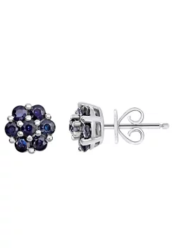 Wholesale 🛒 Sterling Silver Sapphire Earrings by Belk & Co. ✨ -DealsBelk & Co. Store Belk 25921