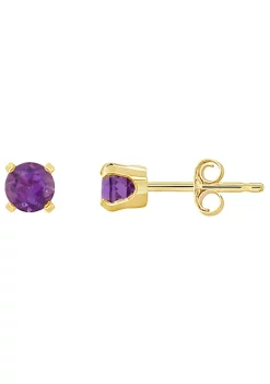 Brand new ๐ 14K Yellow Gold 4mm Round Amethyst Stud Earrings by Belk & Co. โญ
