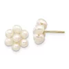 Best reviews of ✔️ 14K Yellow Gold 3-4mm White Egg Freshwater Cultured Pearl Flower Earrings by Belk & Co. 🛒