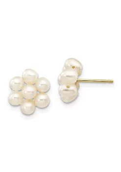 Best reviews of ✔️ 14K Yellow Gold 3-4mm White Egg Freshwater Cultured Pearl Flower Earrings by Belk & Co. 🛒