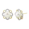 Best deal 🛒 1/6 ct. t.w. Diamond and Pearl Earrings in 10K Yellow Gold by Belk & Co. 🎉