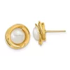 Best Pirce 💯 14K Yellow Gold 6-7mm White Button Freshwater Cultured Pearl Post Earrings by Belk & Co. 💯