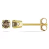 New 🎉 1/4 ct. t.w. Brown Diamond Stud Earrings in 10K Yellow Gold by Belk & Co. 🎉