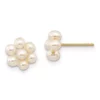 Coupon 😉 14K Yellow Gold 2-3mm White Egg Freshwater Cultured Pearl Flower Earrings by Belk & Co. 💯